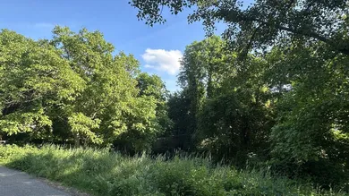 Blick in den Park