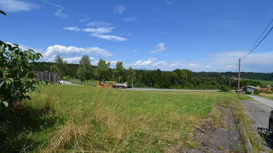 Slide 1