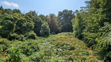 Blick auf das Grundstück (gerodete Baufläche 863 m² und dahinter Wald ca. 2414 m²) von der Straße aus
