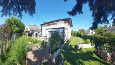 Garten_7