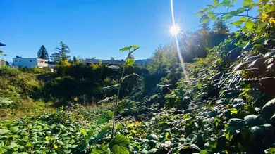 Grundstück Waldweg