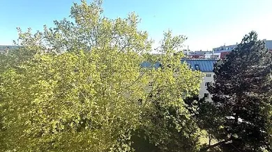 Ausblick