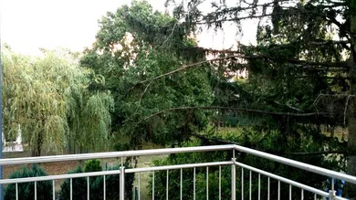 Tolle Grünruhelage