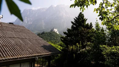 Ausblick