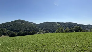 Ausblick