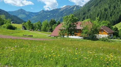 Donnersbachwald 127