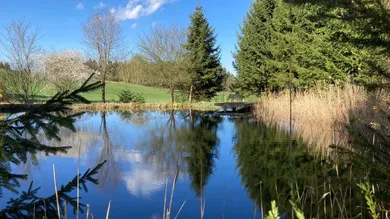 Titelbild - Großer Teich