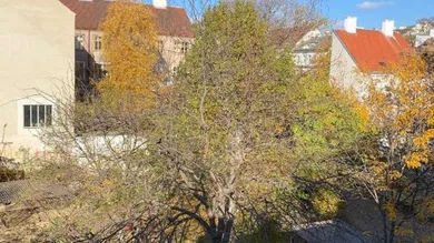 Blick vom Wohnsalon Richtung Park