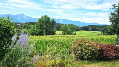Die traumhafte Aussicht mit Weitblick