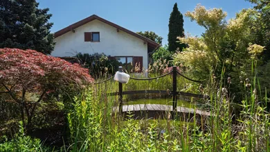 Hinterer Teil Garten