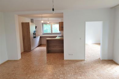 Wohn-/Essbereich mit offener Küche