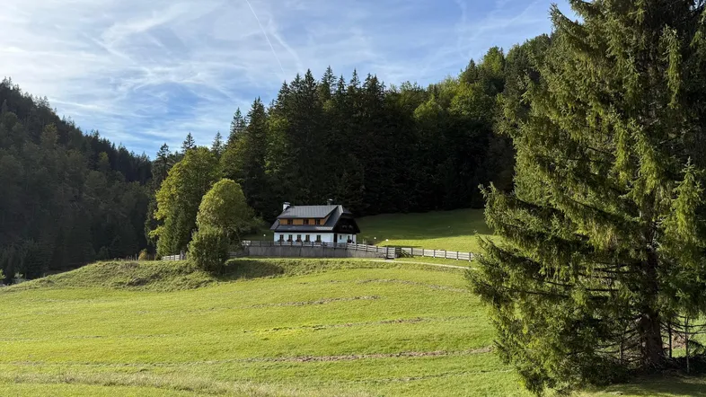 Freistehendes Haus in idyllischer ländlicher Umgebung mit weiten grünen Wiesen und Wald.