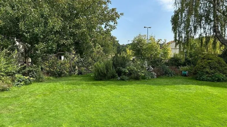 Großer, gepflegter Rasenbereich mit üppiger Bepflanzung und Bäumen unter blauem Himmel.