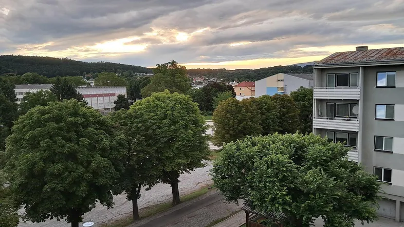 Weitläufiger Blick über eine grüne Wohngegend mit Bäumen und einem bewölkten Himmel bei Sonnenuntergang.