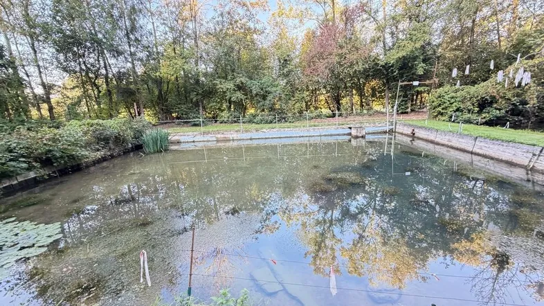 Fischteich Eggendorf