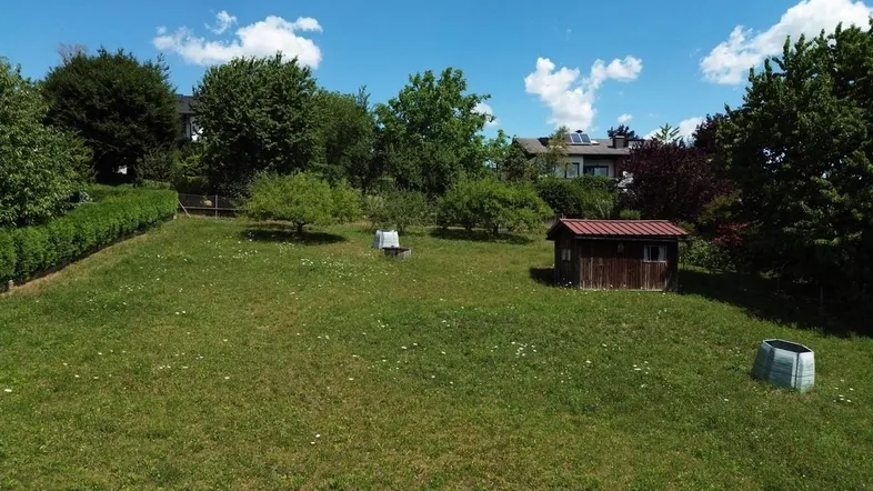 Grüne Wiese mit Baumbestand und kleinem Holzschuppen unter blauem Himmel.