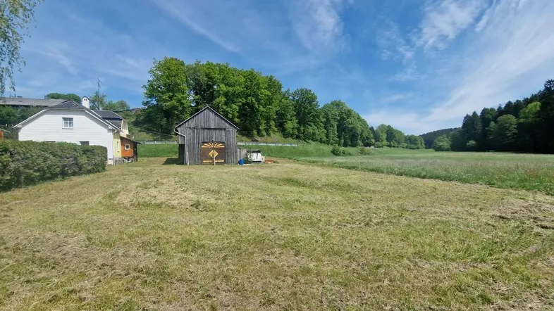 Ländliche Umgebung mit weitem Feld, Scheune und Wohnhaus unter blauem Himmel.