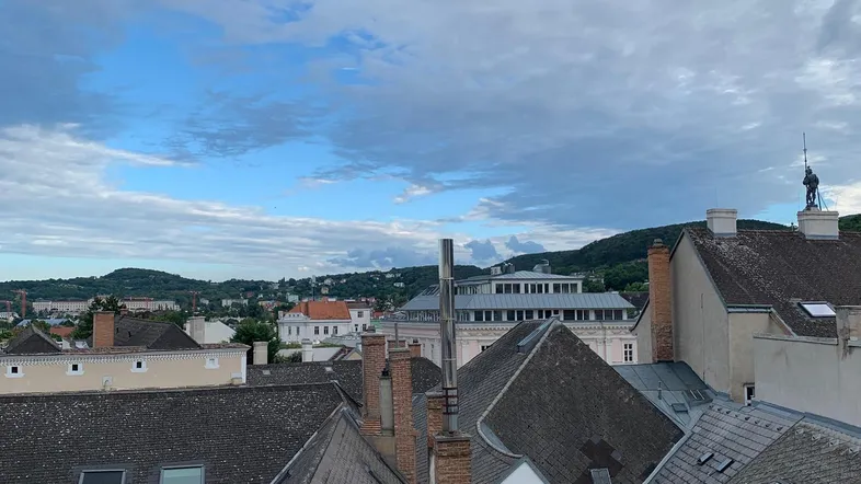 Blick über die Dächer einer Stadt mit Hügeln im Hintergrund unter bewölktem Himmel.
