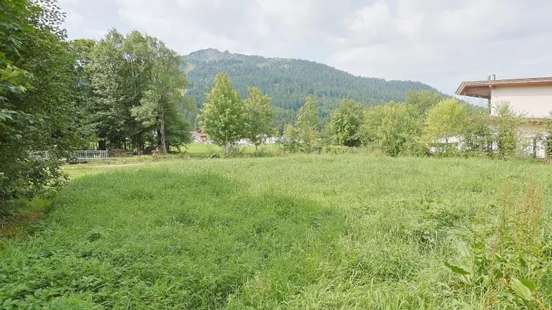 Weitläufige grüne Wiese mit Blick auf bewaldete Berge unter bewölktem Himmel.