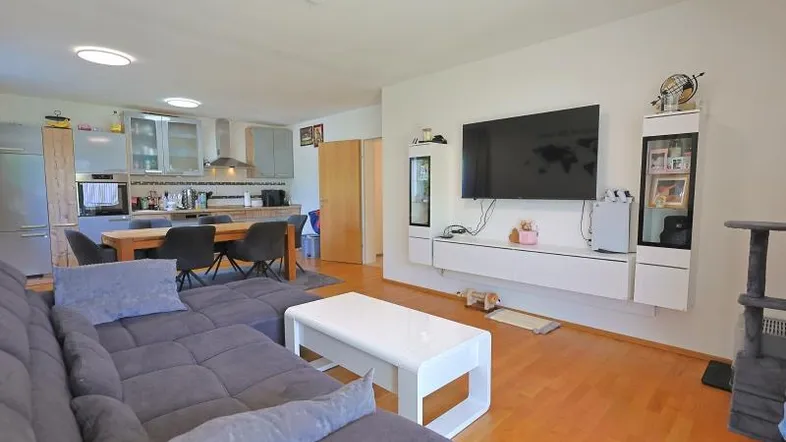 Heller offener Wohnbereich mit gemütlichem Sofa, TV-Wand und integrierter Küche im Hintergrund.