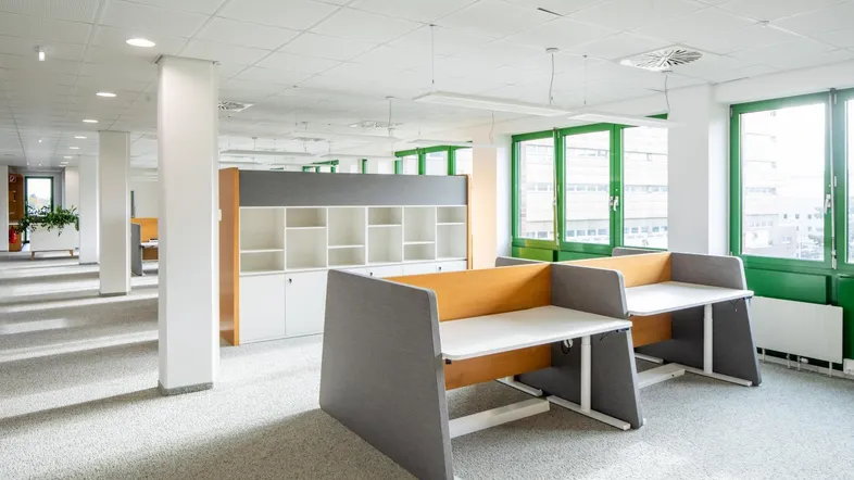 Heller, offener Bürobereich mit modernen Arbeitsplätzen, Teppichboden und großen Fenstern.