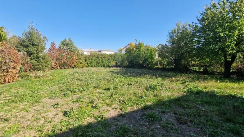Unbebautes Grundstück mit Grasfläche und Bäumen, umgeben von Hecken und weiteren Häusern im Hintergrund.