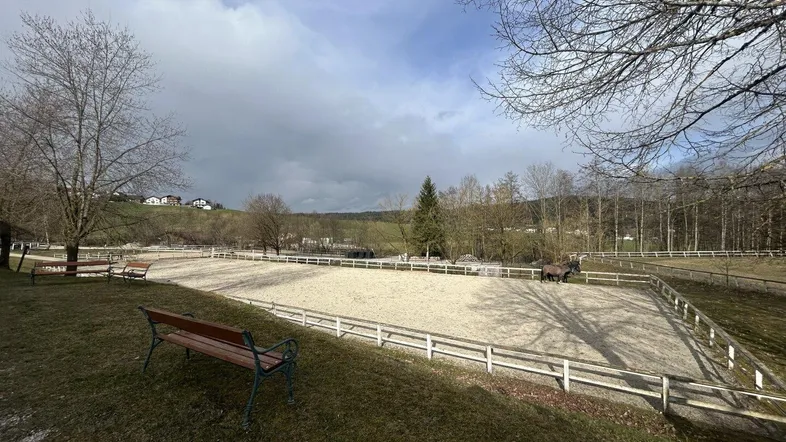 Großer Reitplatz mit Sandboden und Holzzaun, umgeben von Bäumen und einer ländlichen Landschaft.