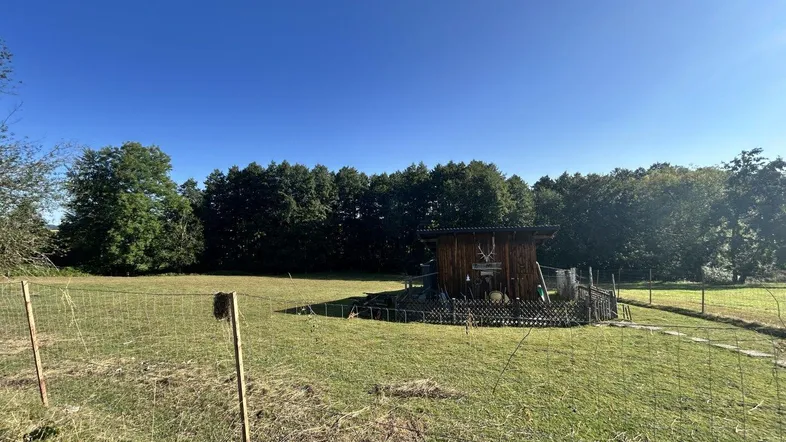 Kleiner Holzschuppen auf einer weiten Wiese, umgeben von Bäumen unter strahlend blauem Himmel.
