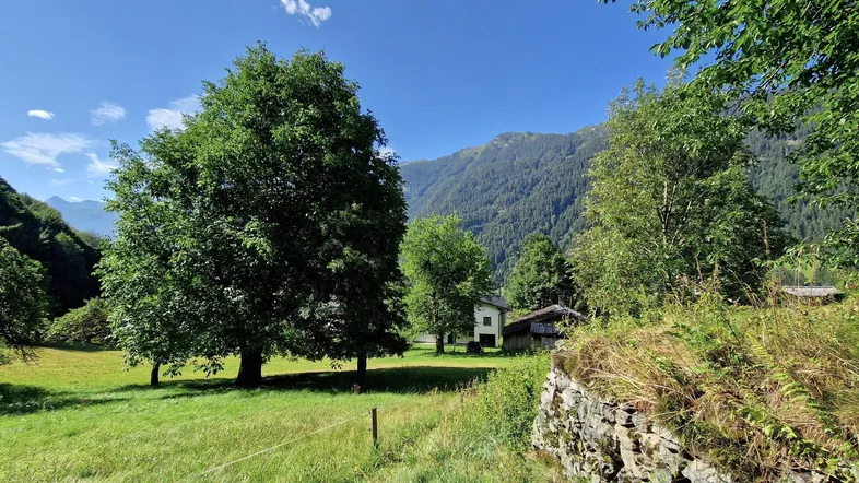 Idyllische Landschaft mit einem kleinen Haus, umgeben von grünen Wiesen und majestätischen Bergen unter blauem Himmel.