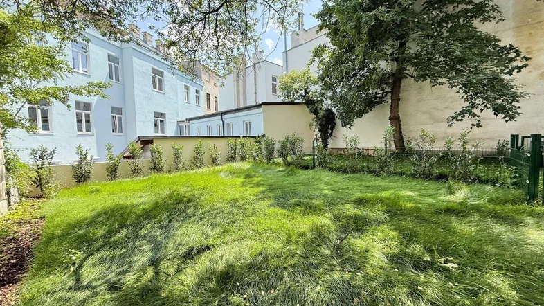 Grüner Gartenbereich mit Rasenfläche und Hecken, umgeben von Gebäuden im Hintergrund.