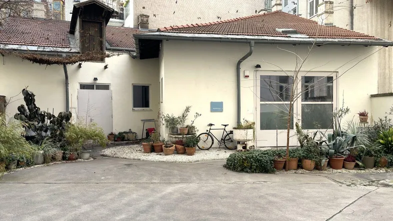 Hinterhof mit verschiedenen Pflanzen in Töpfen und einem Fahrrad vor der Gebäudefassade.