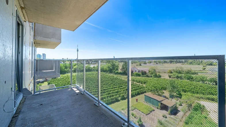 Geräumiger Balkon mit weitem Blick über Weinberge und die umliegende Landschaft unter blauem Himmel.