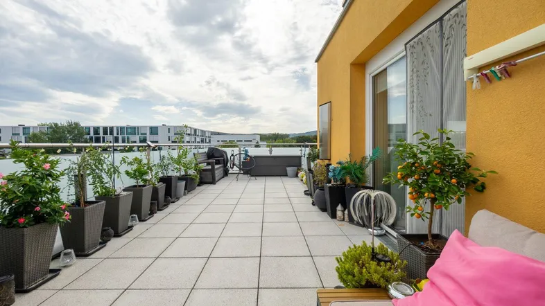Große Dachterrasse mit Fliesenboden, vielen Pflanzen und Sitzgelegenheiten unter bewölktem Himmel.