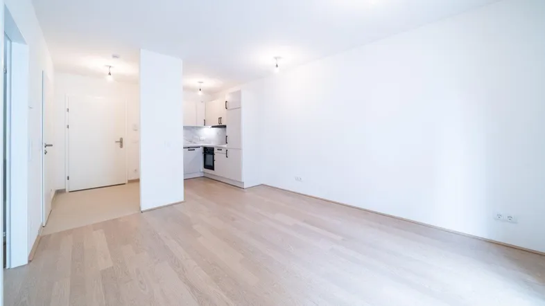 Heller offener Wohnbereich mit integrierter Küchenzeile, modernem Laminatboden und viel Tageslicht.