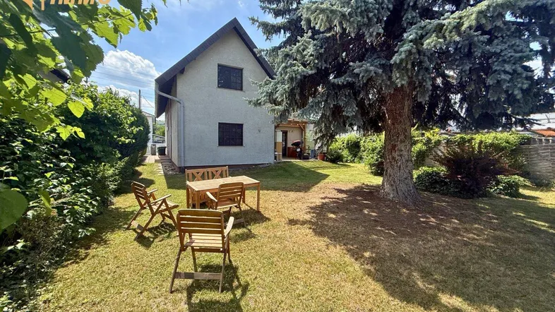 Großer Garten mit Rasenfläche, altem Baum und Sitzgelegenheiten vor dem Haus.