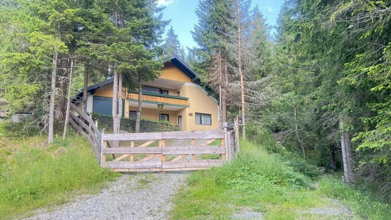 Charmantes Haus im Grünen, umgeben von hohen Bäumen und mit Holzzaun.