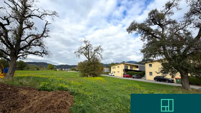 Weitläufiges grünes Grundstück mit Baumbestand und Blick auf umliegende Wohnhäuser und Berge.