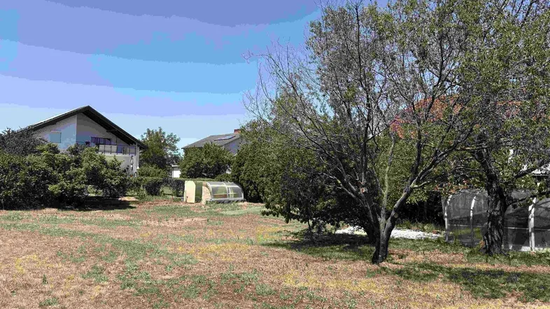 Großer Gartenbereich mit Rasenfläche, Bäumen und einem Gewächshaus im Hintergrund.