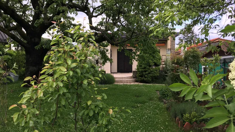 Gepflegter Garten mit Rasenfläche und altem Baumbestand vor einem gemütlichen Haus.