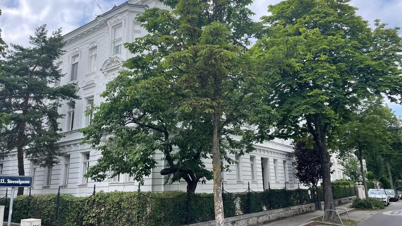 Elegantes weißes Gebäude mit klassischer Architektur und grüner Umgebung an einer Straße.
