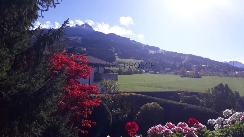 Sonniger Ausblick auf die umliegende Berglandschaft und grüne Felder mit blühenden Pflanzen im Vordergrund.