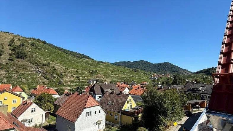 Panoramablick über ein malerisches Dorf mit Weinbergen und grünen Hügeln unter blauem Himmel.
