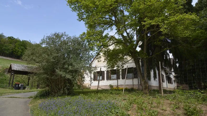 Weißes Landhaus umgeben von Bäumen und grüner Wiese unter blauem Himmel.