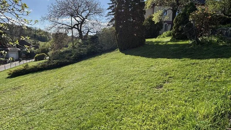 Große Rasenfläche mit Bäumen und viel Sonnenlicht, ideal für Gartenaktivitäten.
