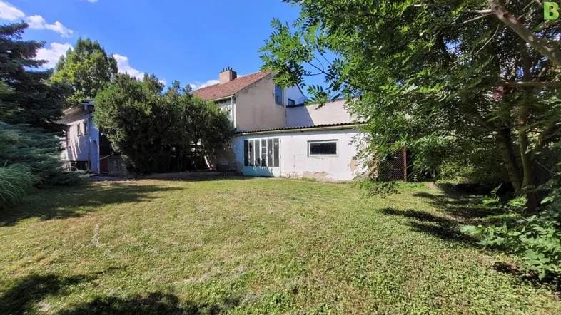 Großer Gartenbereich hinter dem Haus mit viel Grün und altem Baumbestand.