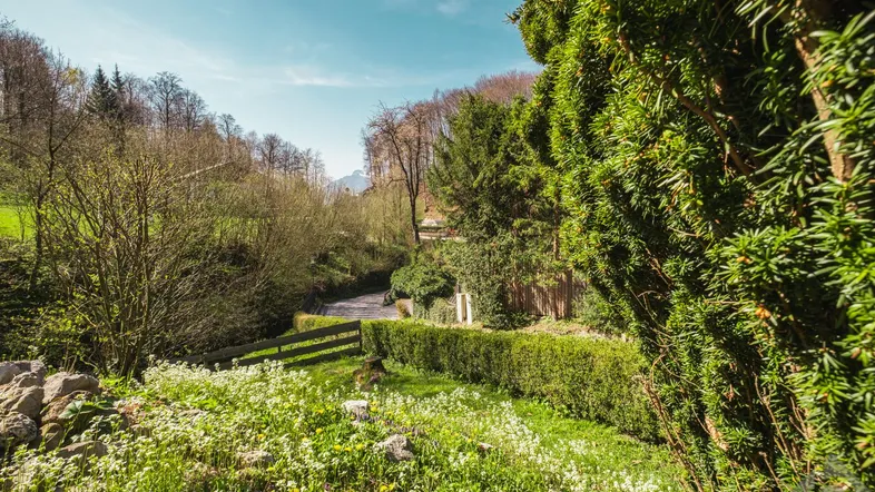 Grüne Landschaft mit einem kleinen Bach, umgeben von Bäumen und Sträuchern unter blauem Himmel.