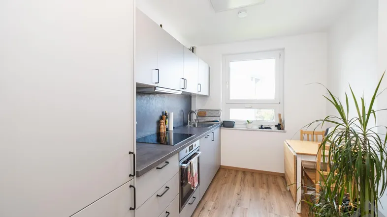 Moderne Küche mit hellgrauen Schränken, Laminatboden und einem Fenster für natürliches Licht.