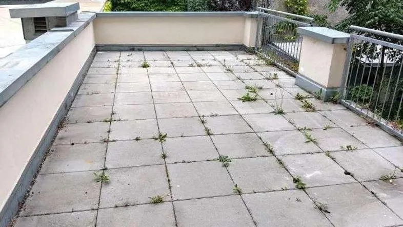 Große geflieste Terrasse mit leichter Begrünung zwischen den Fugen, bietet Potenzial für Gestaltung.