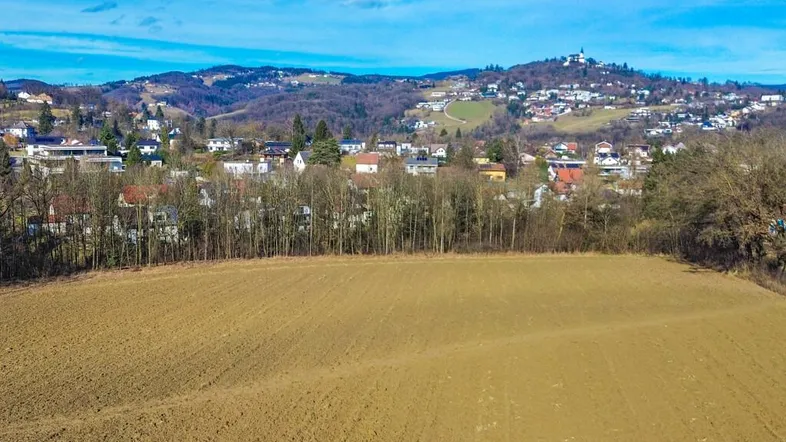 Weitläufiges Ackerland im Vordergrund mit einer Baumreihe und einer Siedlung auf den Hügeln im Hintergrund unter blauem Himmel.