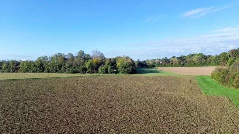 DJI_0535